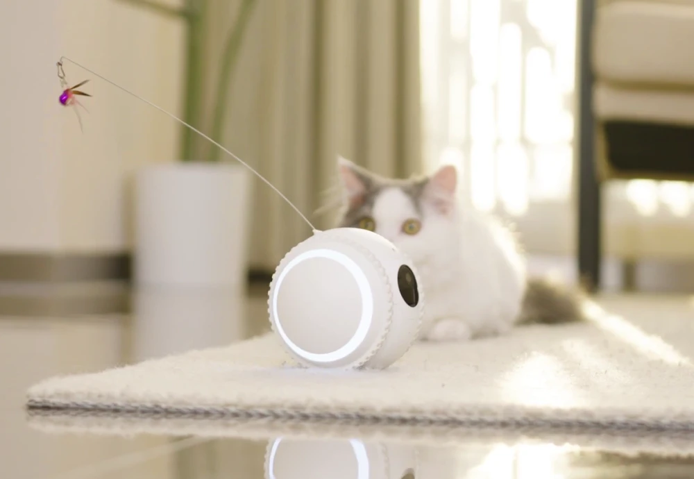 wireless home pet camera