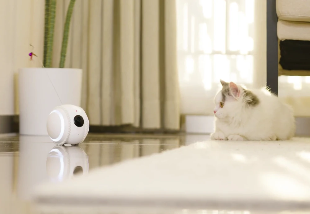 cameras to watch pets