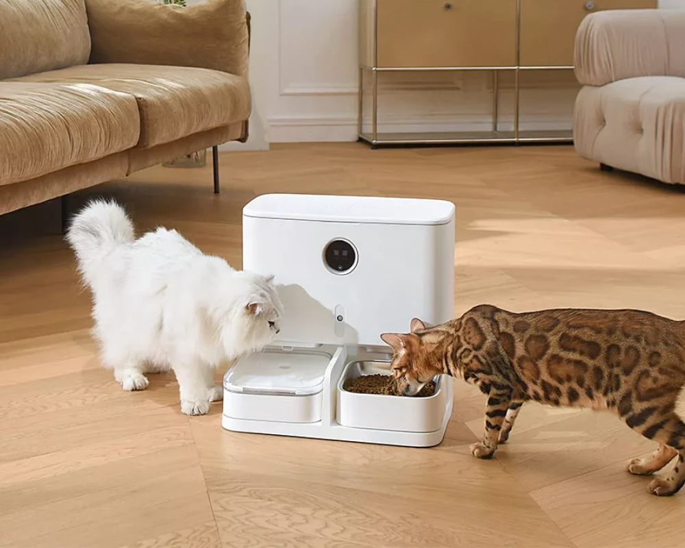 automatic food feeder for dogs