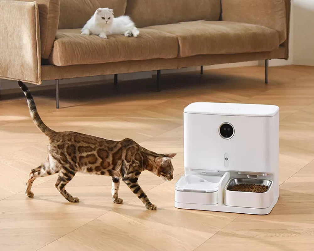 automatic pet feeding system