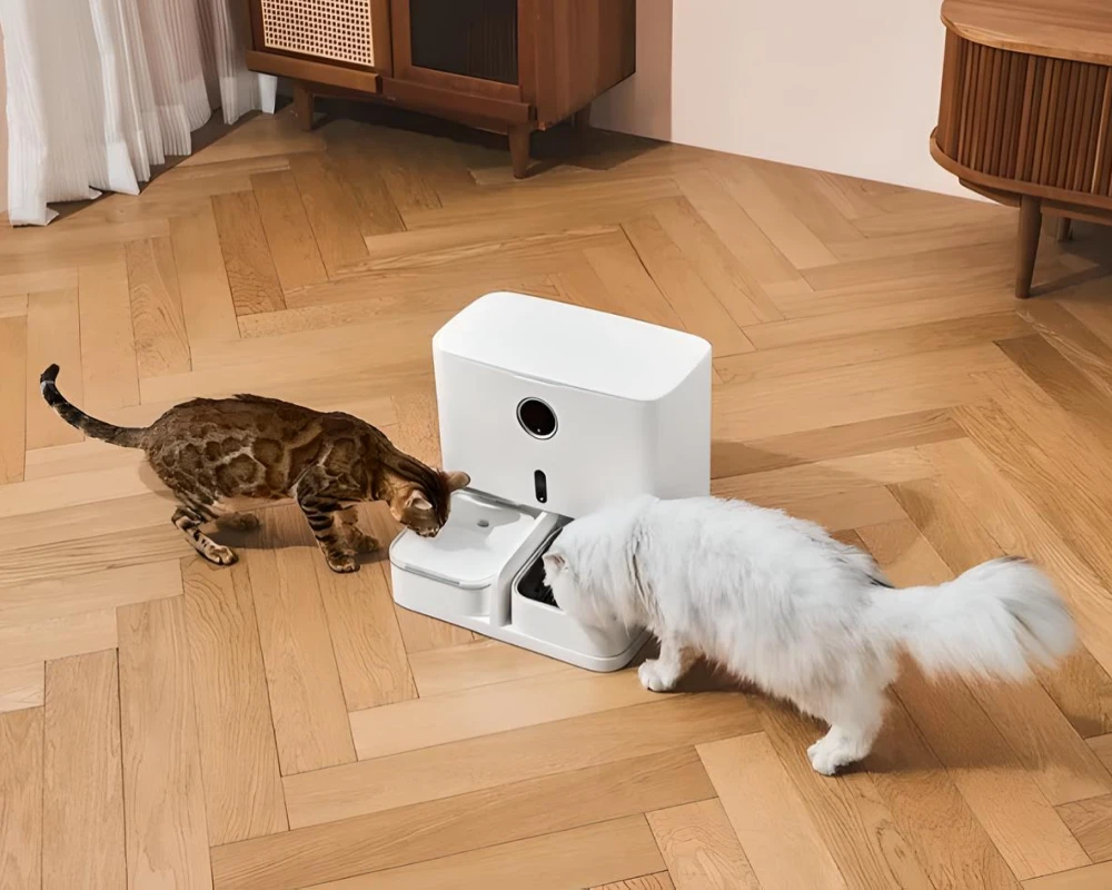 top rated automatic pet feeder