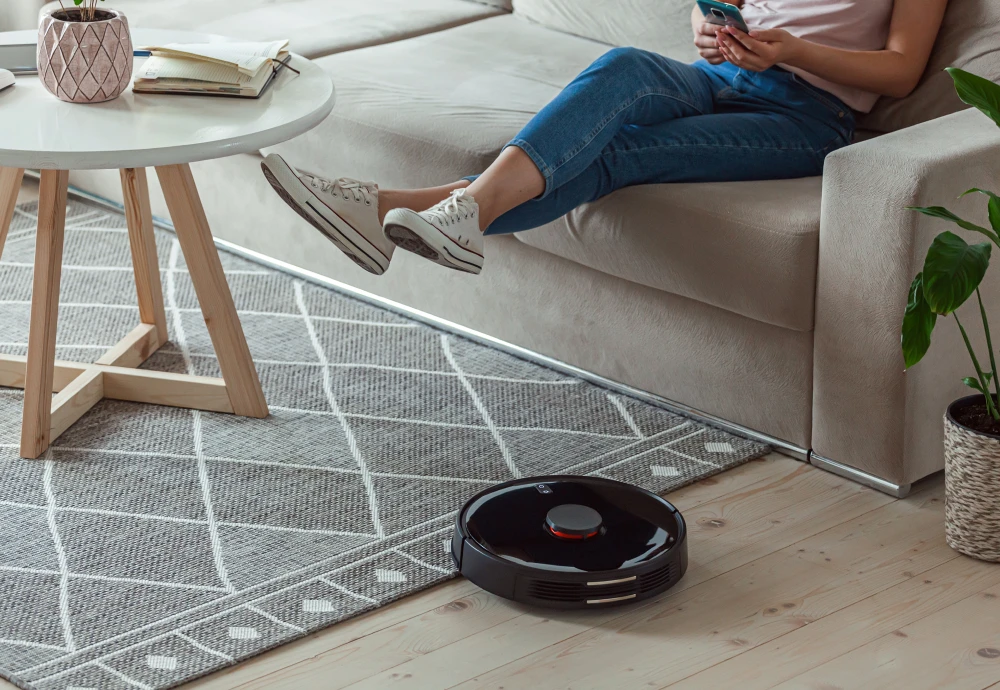 clean smart robot vacuum cleaner